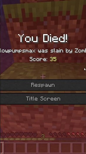 Dumb Ways to Die in Minecraft