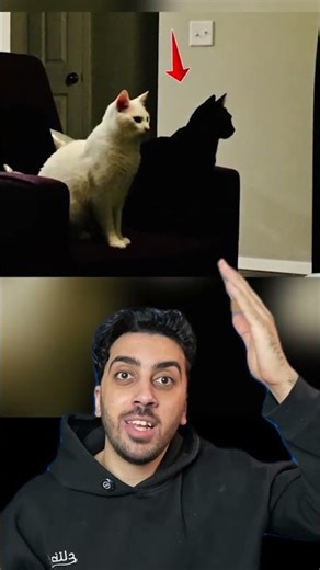 صور محتاج تبصلها مرتين جزء .2 😵‍💫