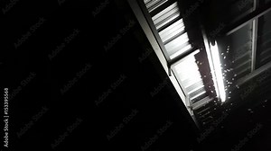 Winged Termites Flying around fluorescent light in the dark night Stock Video