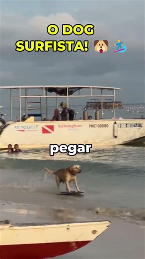 O Cachorro Mais RADICAL Que Você Vai Ver Hoje! 🐶🏄‍♂️ #shorts