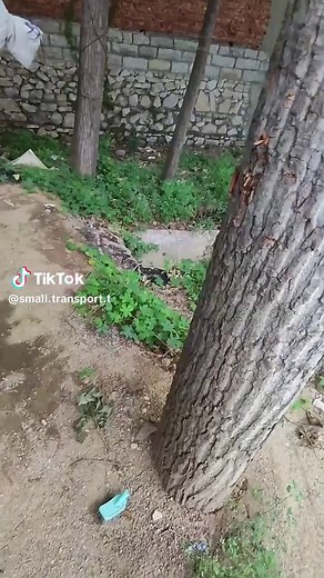 Creating Fun DIY Toys: A Step-by-Step Guide