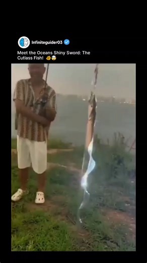 Unlimited Science 🇮🇱 on Instagram: "Meet the ocean’s shiny sword — the Cutlass Fish! 🐟⚔️ This deep-sea predator looks like it’s forged from pure silver and moves like a blade slicing through water. With razor-sharp teeth and a mirror-like body, it’s one of nature’s most dazzling yet deadly designs. 🌊✨ Ever wondered how it survives in the dark depths? Watch till the end — it’s mind-blowing! 🤯 . 👉 Follow : @infiniteguider03 👉 Follow : @infiniteguider03 for more mind-blowing science and tech
