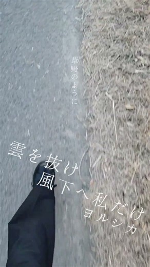 雲を抜け風下へ私だけ／ヨルシカ【アカペラ】アニメ『薬屋のひとりごと』オープニング