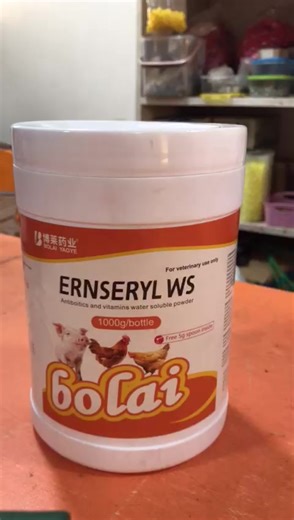 Ernseryl: The Benefits of Antibiotics and Vitamins for Poultry