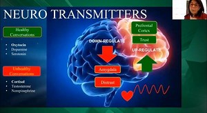World leading authority on Conversational Intelligence®, WE-centric Leadership, and Neuro-Innovation, Judith Glaser explains which neurotransmitters are released during different types of conversation and how these neurotransmitters make us feel in return. | Coaching.com