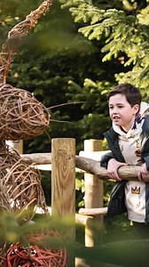 2.2K views · 51 reactions | The Plotters’ Forest Little Eggsplorers...