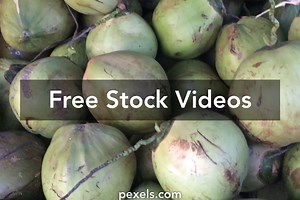 Coconut Videos, Download The BEST Free 4k Stock Video Footage & Coconut HD Video Clips