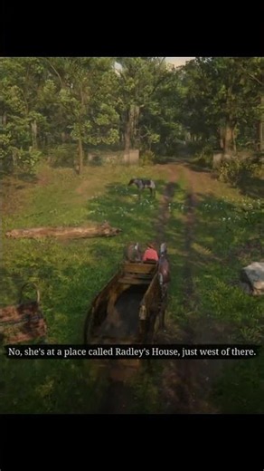 RDR2 - No, No and Thrice, No (Mission 40)