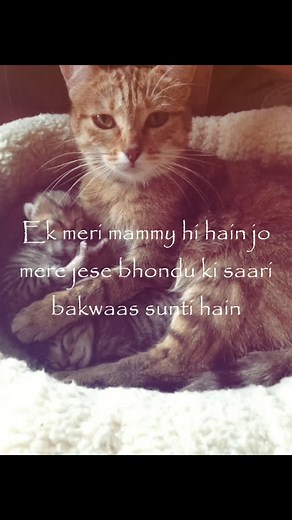 Kanchan Dixit on Instagram: "love you yr mummy 爛"