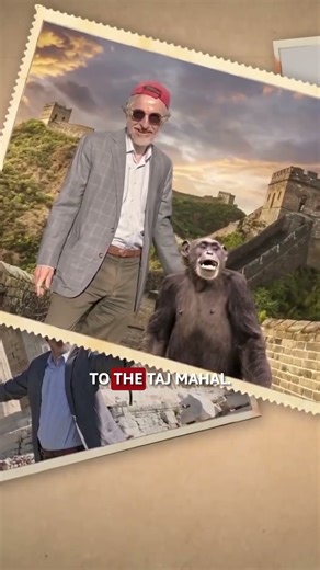 Are You Smarter Than a Chimp?