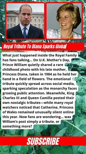 Royal Tribute To Diana Sparks Global Reaction #princewilliam #shorts #britishroyalfamily