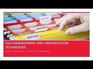 File Management and Organization Techniques | Digital Literacy Course