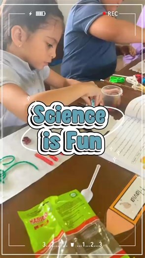  Our 3rd graders became scientists today! They explored how different bird beaks affect survival by using tools to “pick up food” and compare which ones worked best. A fun and creative way to learn how God designed every creature with a purpose!  | Santa Cruz Christian Learning Center | Facebook