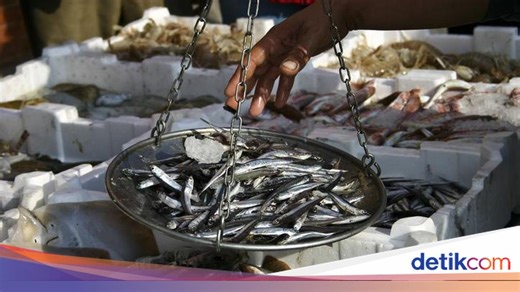 1 Ton Berapa Kg? Begini Cara Konversi dan Contohnya