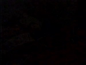 One Life to Live Thanksgiving🦃1991 (Full-Episode) #OneLifetoLive #SoapOpera #OLTL Classic Soap Operas #SoapOperas #HappyThanksgiving | Classic Soap Operas