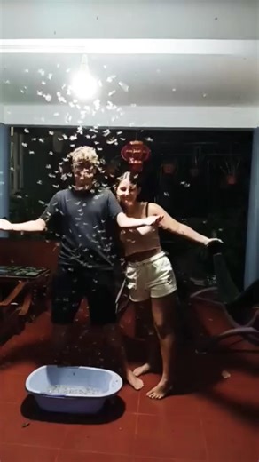 After every storm, flying termites fill the night