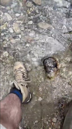 Salomon Quest 4 GTX testing underway. #salomon #salomonboots #idaho #mountians #summer #asmr