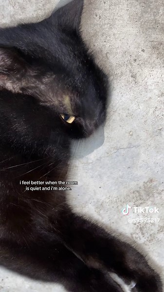 Finding Solace in Silence: Quotes About Loneliness