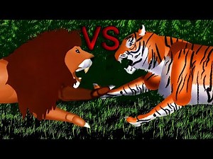 Siberian Tiger vs African Lion | @KO-MATION