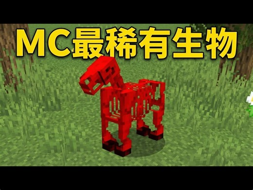 【中配】Minecraft中最稀有的生物 - Prism