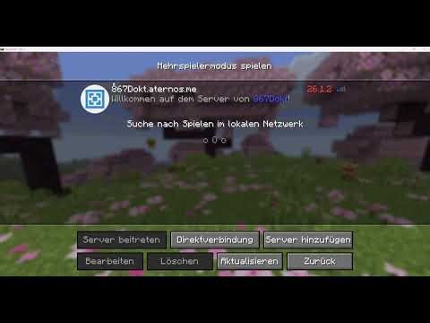 PvP In mincraft java neuse viscon gegen euch der gewiner kann mit euch rp spilen