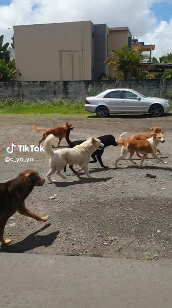 yoyo (@c_yo_yo)’s videos with original sound - yoyo