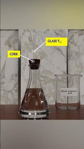 CLASS 10 CBSE Activity 1.3 | Zinc granules react with hydrochloric acid CHAPTER 1 |3D Animation