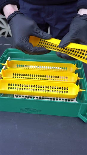 Egg Incubator with Turning System - 24 eggs #incubator #homesteading #farming