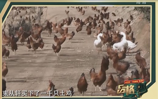 老乡鸡创始人束从轩-全中国最了解鸡的人