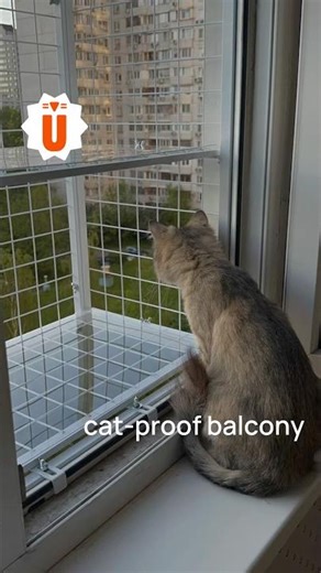 Two years ago, I built my cat a catio