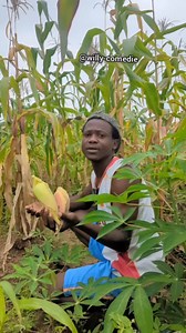 Au champ 🥰🥰 | Willy Comédie