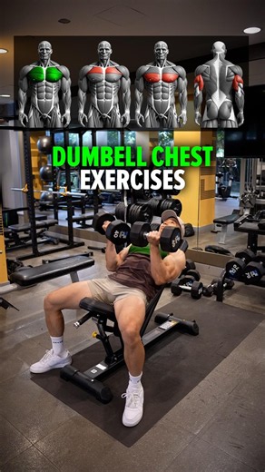 Dumbbell Chest Exercises (DO THESE!)