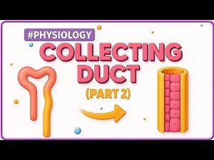 11. Collecting Ducts (Part- 2) | Renal Physiology for NEET PG, FMGE, USMLE, NEXT, INICET