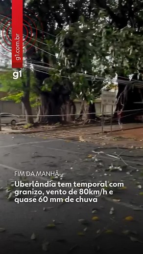 SOS UBERLÂNDIA on Instagram: "🗞️Via @g1triangulo - "Um temporal, com vento de até 80km/h, granizo e 57 milímetros de chuva, causou estragos em vários pontos de Uberlândia no fim da manhã deste domingo (28). Galhos de uma árvore na Praça Sérgio de Freitas Pacheco derrubaram parte da fiação elétrica e atingiram um ponto de ônibus. As rajadas também derrubaram árvores na Avenida Getúlio Vargas e causou destelhamentos, queda de alambrado e de muros em outras regiões da cidade. Ainda há registro de