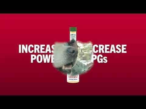 Lucas Upper Cylinder Lubricant | The Tune Up In A Bottle