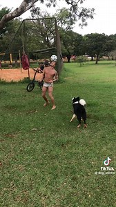 21K views · 557 reactions | Amazing Dog  殺殺殺 | Gary The Blogger | Facebook