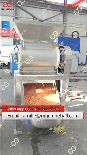 Automatic Tomato Crushing Machine