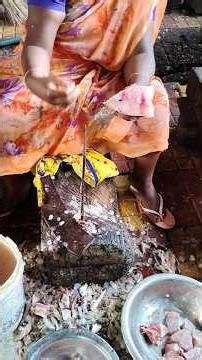 Big Fish Cutting Satisfying Video 😱🐟 #shorts