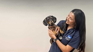 Inner West Vet Hospital - Medical & Non-Medical