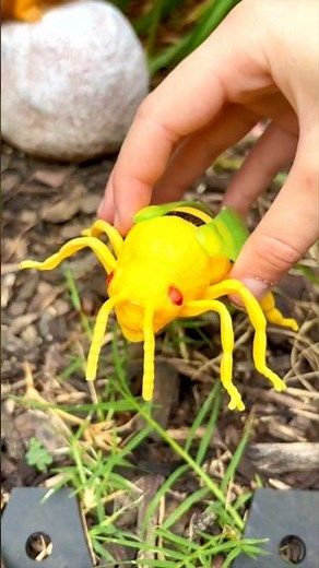 DISCOVER Amazing Insects and Bugs Outside!! Learning video for Kids!