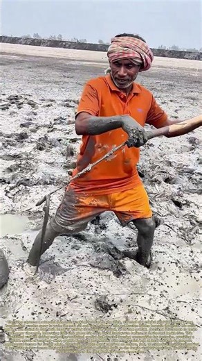 Spearing Mud Eels: How a Handmade Wooden Tool Harvests Protein From Coastal Tidal Flats