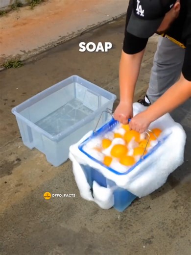 Essential Cooking Tips for Every Home Chef