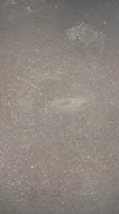 37K views · 56 reactions | Stamping our way to perfection with this custom plastic logo stamp! Watch as we transform plain surfaces into branded masterpieces. ✨ #LogoStampMagic #CustomStamping #BrandingBliss #PlasticLogoStamp #DIYCrafts #CreativeDesigns | Quick Prints | Facebook