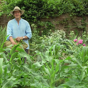 3.3K views · 139 reactions | On tonight's Gardeners' World, Monty shows how to deal with drought, prune fruit trees  and take fuchsia cuttings. Plus Advolly delves into the history of garden trees. 8pm BBC Two https://www.bbc.co.uk/programmes/m0019mkz | BBC Gardeners' World Magazine | Facebook