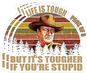 OCQOTAT Life is Tough But It's Tougher If You're Stupid Vintage Sunset Bumper Sticker Vinyl Decal 5 Inches-3 Pack Bright Funny Decals for Car Truck Van SUV Window Wall Cup Laptop Tumbler