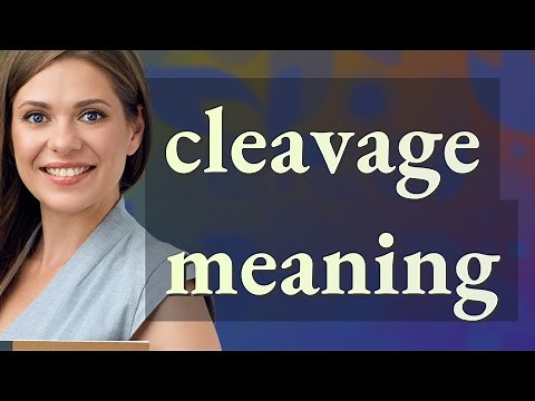 Cleavage | meaning of Cleavage