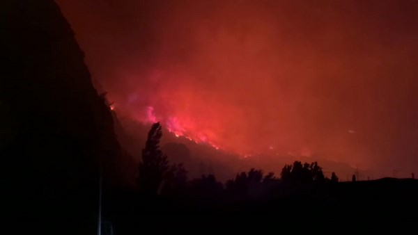 Pálmai Anna 13 évvel fiatalabb, TikTokról is ismerős párjával szerepel címlapon