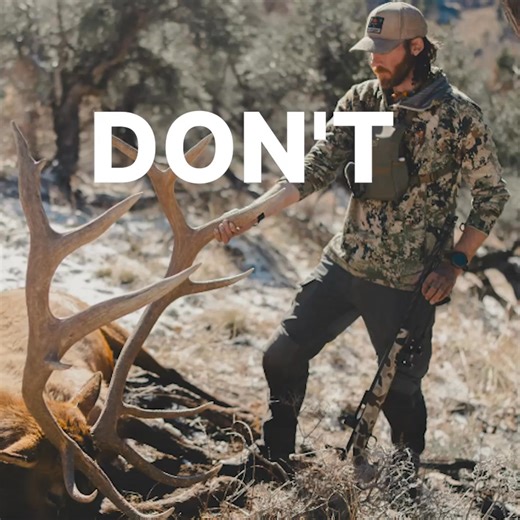 Make your own luck this application season. With GOHUNT, just punch in what you want to hunt. We'll show you everything you need to know. | GOHUNT