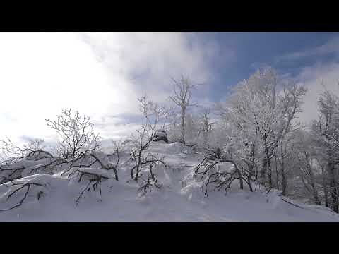 Wind Sounds 2 Hours / Cold Winter Wind Blowing Through Frozen Forest