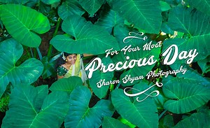 7.3K views · 240 reactions | BOOK FOR YOUR MOST PRECIOUS DAY | MOB : +91 999 5395 666 Mail : sharon.shyam@gmail.com YouTube channel : https://www.youtube.com/user/videosharon Instagram : https://www.instagram.com/sharonshyamphotography #SHARONSHYAMPHOTOGRAPHY #SHARONSHYAM #SOUMYASTUDIO #WEDDING #CANDIDPHOTOGRAPHY #MORNINGSHOOT #SUNRISE #KERALAPHOTOGRAPHER #KeralaBestHinduWeddingHighlights2018 | Stories by Sharon Shyam | Facebook
